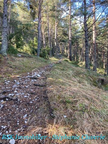 Terrain agricole de 10 100 m²