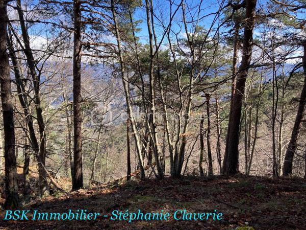 Terrain agricole de 10 100 m²