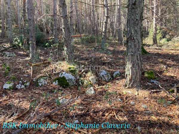 Terrain agricole de 10 100 m²