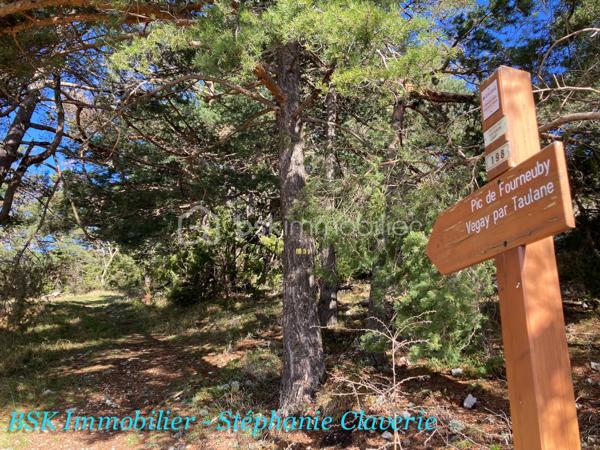 Terrain agricole de 10 100 m²