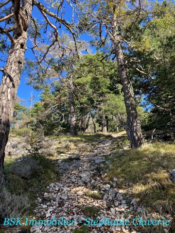 Terrain agricole de 10 100 m²