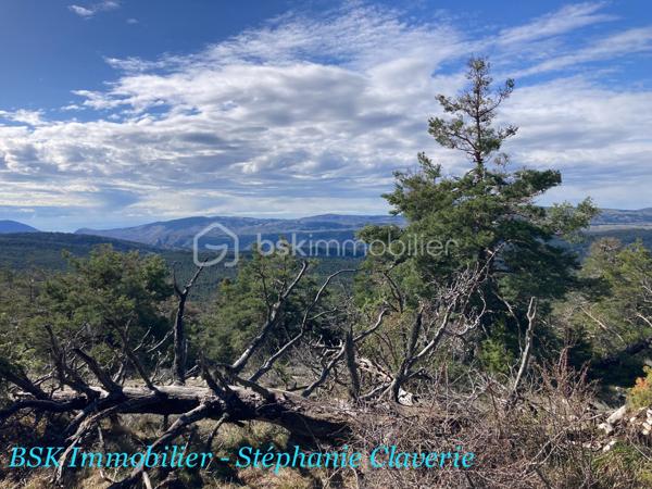 Terrain agricole de 10 100 m²