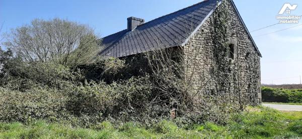 Ancien corps de ferme : maison, grange, hangar et terrain