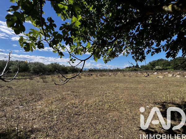 Maison à vendre 7 pièces 126 m² Torreilles