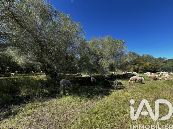 Maison à vendre 7 pièces 126 m² Torreilles