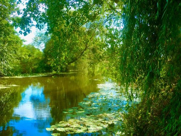 Terrain à bâtir de 3400m2 et 15% de rentabilité minimun pour cette maison ou hôtel pour particulier ou investisseur, 11 suites parentales