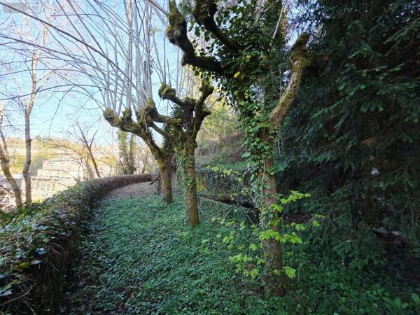 Achat - Maison | Maison de maître Tulle 19000 9 pièces 250 m 2 3427 m 2