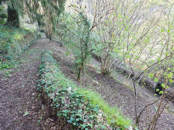 Achat - Maison | Maison de maître Tulle 19000 9 pièces 250 m 2 3427 m 2