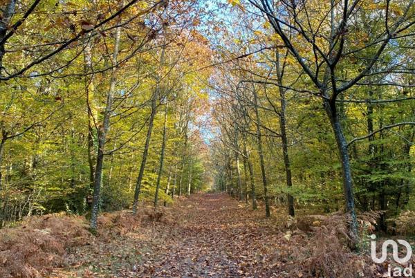 Maison à vendre 5 pièces 98 m² Vertou