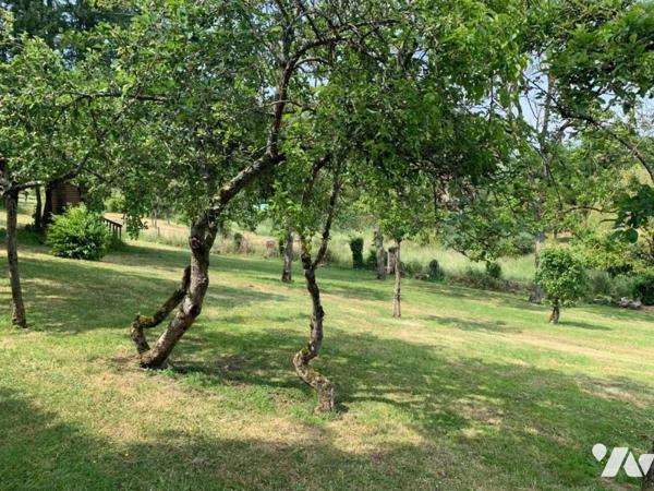 SAINT PIERRE EN AUGE - LIVAROT Ensemble de 2 maisons