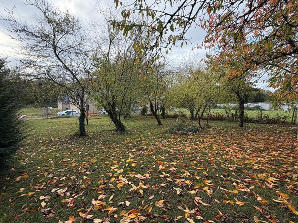 Terrain Brissac Loire Aubance 423 m2