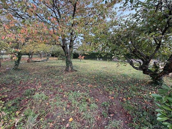 Terrain Brissac Loire Aubance 423 m2