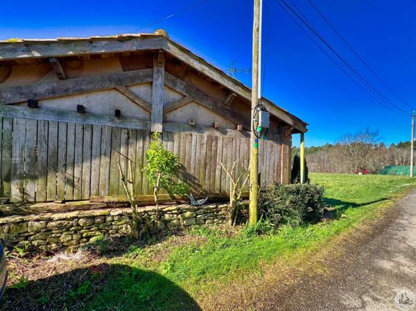 Maison en pierres plain-pied