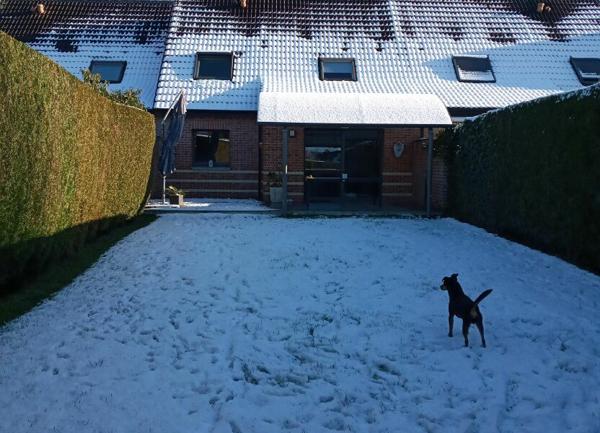 Maison à vendre    4 pièces •  Roncq