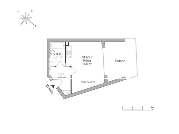 Location Studio 24.15 m² - RES. LE ROYAL Orleans 45000