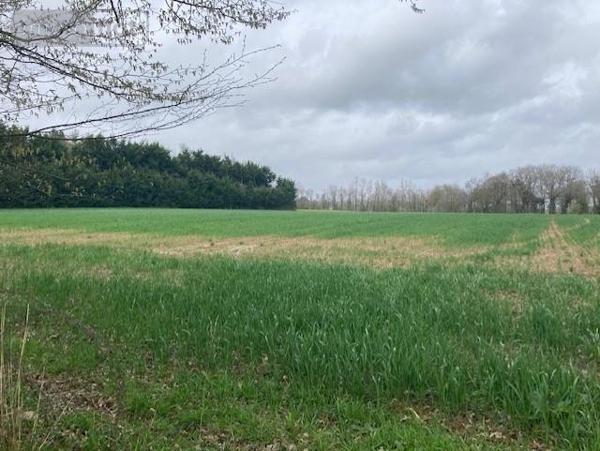 Terrain à Batir à vendre à Guer dans le Morbihan (56380), ref : 56046-1076