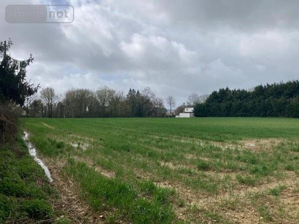 Terrain à Batir à vendre à Guer dans le Morbihan (56380), ref : 56046-1076