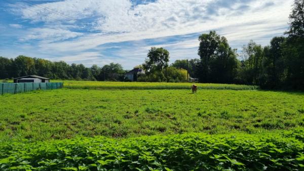 St Aulaire , à 5 min. d'Objat , Grand terrain plat à bâtir