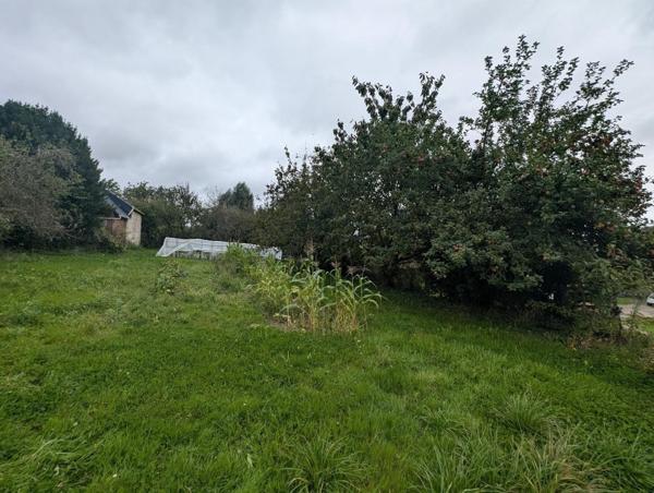 « Le Champ des Possibles » — Votre future maison à Villers-sur-Auchy