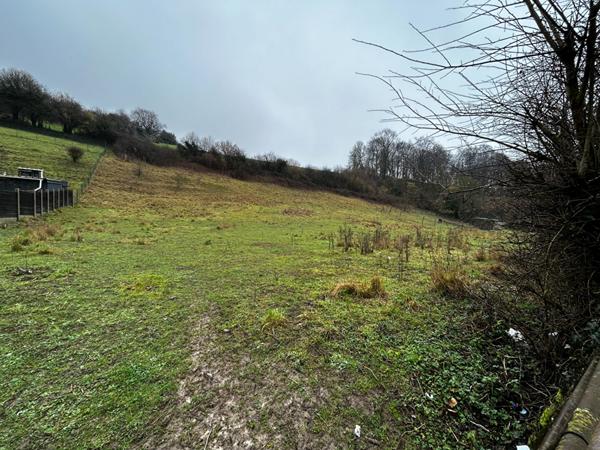 Terrain Thiembronne 1315 m2