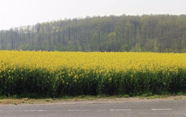 Vente Terrain Constructible Vendome   