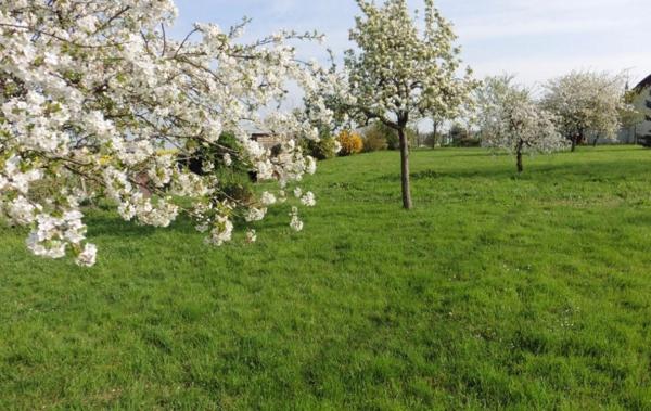 Vente Terrain Constructible Vendome   