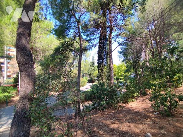 Grand appartement T4 de 79m2 (Carrez) AVEC TRES BELLE VUE MER, dans le 10e (Saint-Tronc)