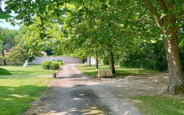 Maison à vendre    8 pièces •  Saint-Symphorien