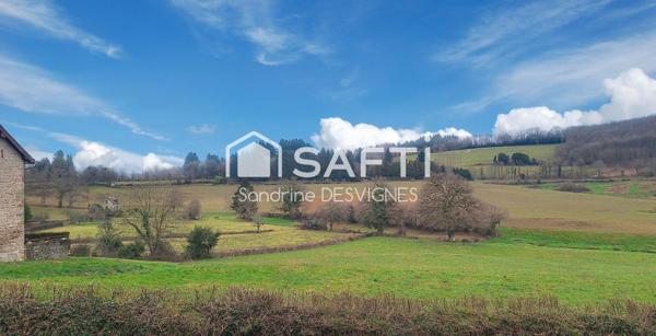 Maison en pierres 138 m2 habitable  avec jardin