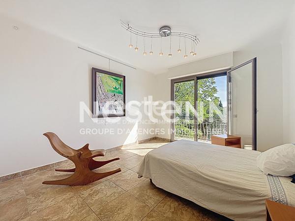 CANNES : 2 superbes VILLAS A VENDRE