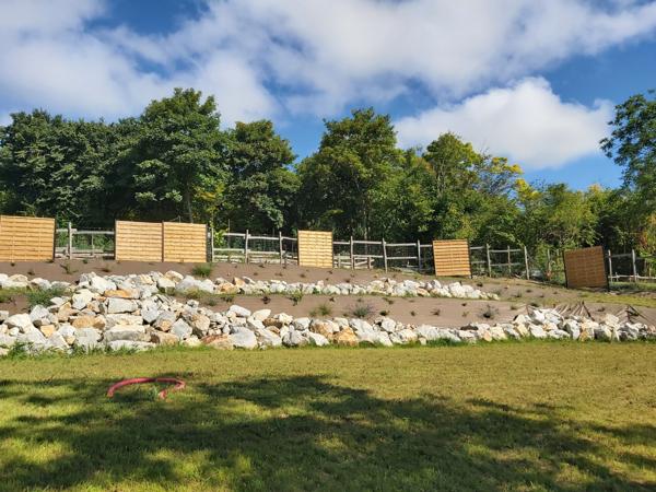 maison récente 4 chambres + 1 bureau, grd terrain