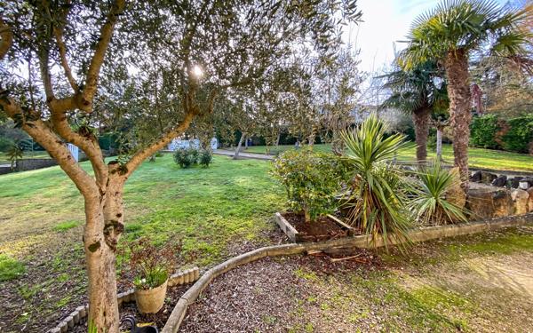 Maison à vendre    5 pièces •  Montauban