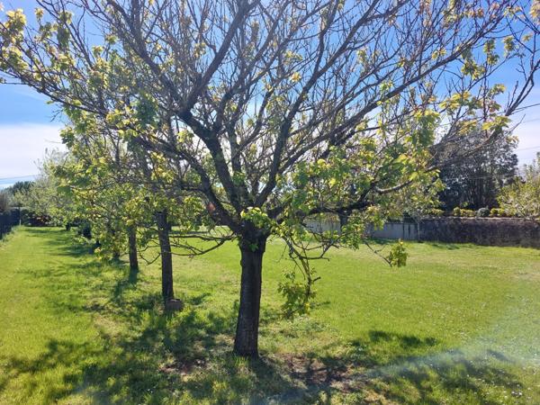 MAISON DE MAITRE AVEC PARC DE 5000M² DEPENDANCES ET DEUX PIGEONNIERS
