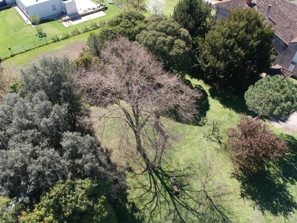 MAISON DE MAITRE AVEC PARC DE 5000M² DEPENDANCES ET DEUX PIGEONNIERS