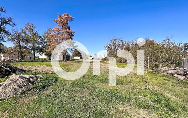 Terrain à vendre    Noailles