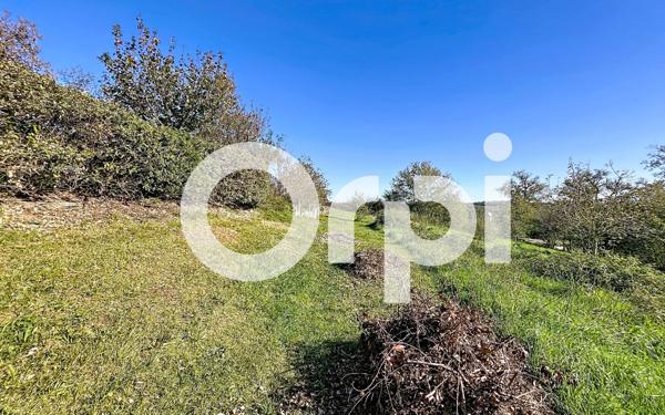 Terrain à vendre    Noailles