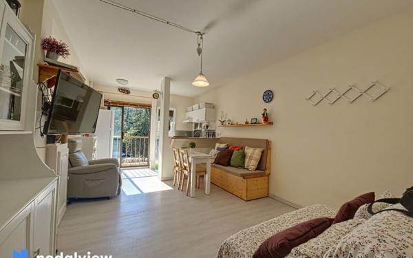 Appartement à vendre    1 pièce •  Vernet-les-Bains