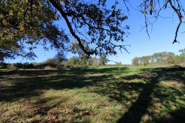 PROPRIÉTÉ DE 30 HECTARES – MAISON EN PIERRE À RÉNOVER – DÉPENDANCES – ÉTANGS