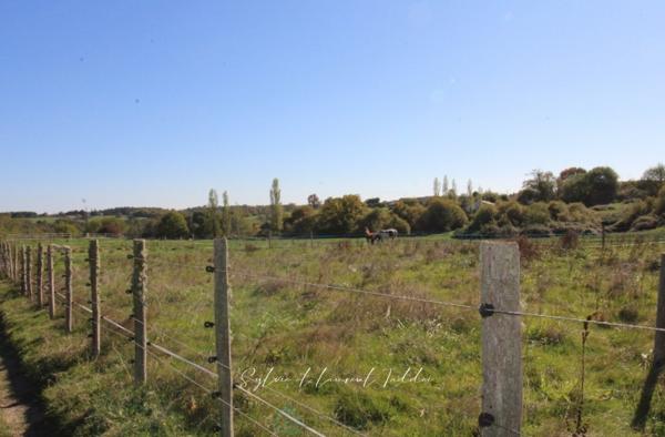 PROPRIÉTÉ DE 30 HECTARES – MAISON EN PIERRE À RÉNOVER – DÉPENDANCES – ÉTANGS