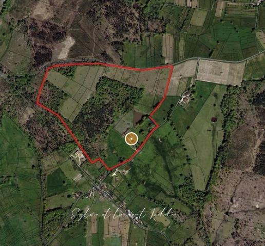 PROPRIÉTÉ DE 30 HECTARES – MAISON EN PIERRE À RÉNOVER – DÉPENDANCES – ÉTANGS