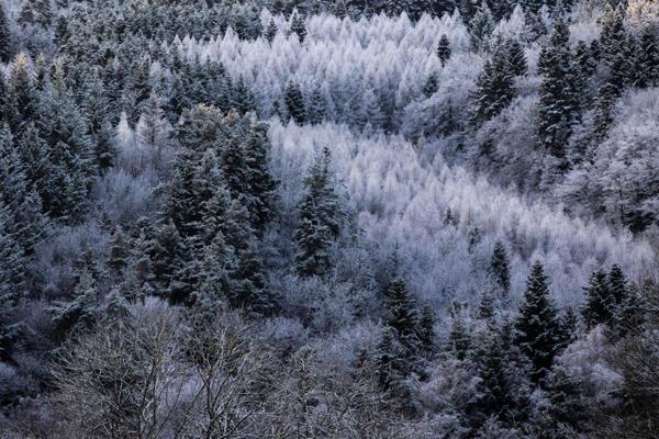 terrain constructible de 1030 m², viabilisé et vue dominante