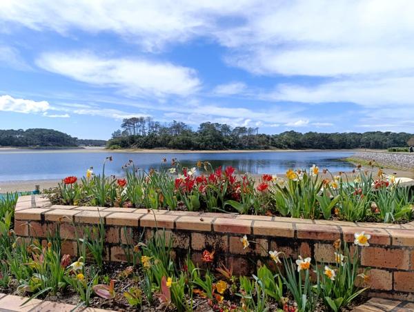 Appartement sous bail commercial - rentabilité 5,59%