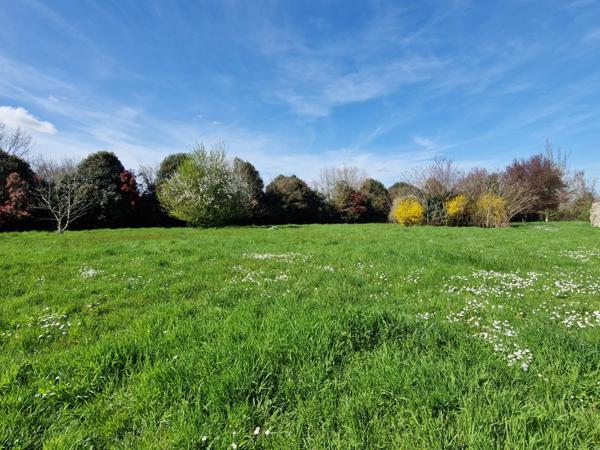 Dpt Charente Maritime (17), à vendre proche de SAINT SAVINIEN maison P8 de 290 m² - Terrain de 14 750,00 m²