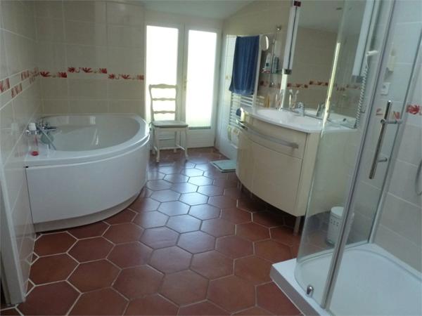 Dpt Charente Maritime (17), à vendre proche de SAINT SAVINIEN maison P8 de 290 m² - Terrain de 14 750,00 m²