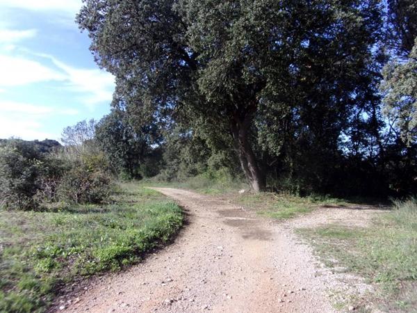 Terrain  agricole ou de loisirs, Saint Pons de Mauchiens 34230-6270 M2 m2