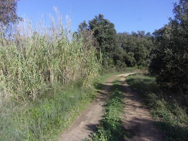 Terrain  agricole ou de loisirs, Saint Pons de Mauchiens 34230-6270 M2 m2