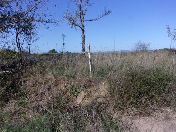 Terrain  agricole ou de loisirs, Saint Pons de Mauchiens 34230-6270 M2 m2