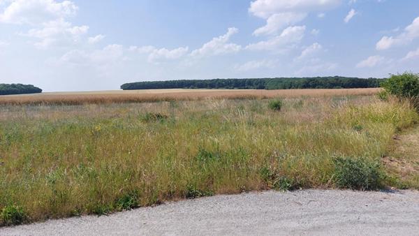 Terrain Brecy 1042 m2