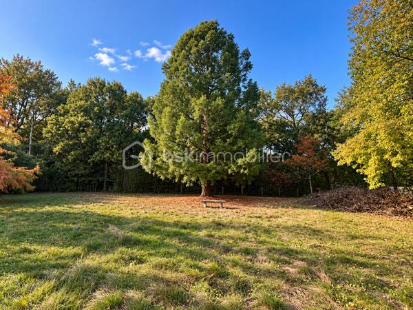 EN EXCLUSIVITÉ, dans un environnement résidentiel recherché de Challans, découvrez cette propriété de caractère, nichée au cœur d'un magnifique parc arboré de 6 330 m², entièrement clos et préservé des regards.

Construite en 1991, cette maison d'architecte de plain-pied développe environ 200 m² habitables et propose 5 chambres, de beaux volumes et une organisation intérieure particulièrement agréable pour la vie de famille.

Dès l'entrée, la maison dévoile une architecture singulière, où les ouvertures sur l'extérieur occupent une place privilégiée.
- La pièce de vie s'articule autour d'une cuisine aménagée et équipée ouverte sur la salle à manger, prolongée par un salon chaleureux doté d'une belle cheminée ouverte. Une véranda vient compléter cet ensemble et offre une transition naturelle vers la terrasse exposée sud-ouest et le jardin.
- L'espace nuit, bien distinct des pièces de vie, accueille une spacieuse suite parentale avec de nombreux rangements et dressings ainsi qu'une salle de bains équipée d'une double vasque. Quatre autres chambres, desservies par un couloir largement vitré et baigné de lumière naturelle, complètent cet espace, avec une seconde salle d'eau et des WC indépendants.
- Une buanderie et deux garages avec portes motorisées, accessibles directement depuis la maison, apportent un confort supplémentaire au quotidien.

- À l'extérieur, le parc constitue incontestablement l'un des atouts majeurs de cette propriété. Ses nombreuses essences d'arbres, ses espaces dégagés et son exposition privilégiée composent un cadre verdoyant, propice à la détente et à la vie en plein air. Un puits facilite l'entretien du jardin, tandis que la création d'une piscine peut être envisagée sous réserve des autorisations nécessaires.

Construite avec soin, cette maison d'architecte a conservé le charme et la qualité de ses prestations d'origine. Des travaux de rafraîchissement et de modernisation permettront de la personnaliser et de révéler pleinement son potentiel. L'assainissement individuel, actuellement non conforme, nécessitera une mise aux normes.
Une propriété singulière, aux volumes généreux, où architecture, espace et nature se rencontrent. Un lieu de vie idéal pour une famille en quête de tranquillité, sans renoncer à la proximité de Challans.
Au plaisir de vous accompagner dans la découverte de cette propriété. Corinne