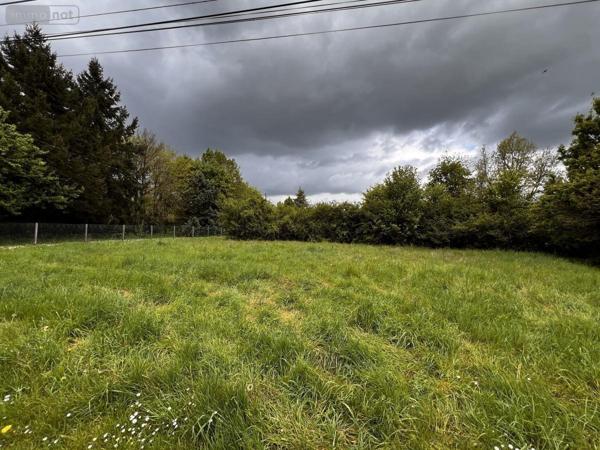 Terrain à Batir à vendre à Seigy dans le Loir-et-Cher (41110), ref : 41033-1767